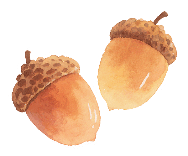 暂别是为了更好地相遇！上海鲁迅纪念馆邀您共度闭馆升级前的最后开放日