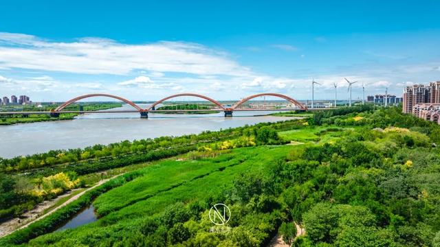 都说，生态城有仙气