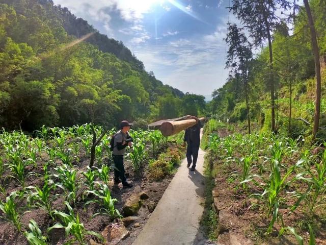 避开人潮！重庆渝北这条小众徒步线路美到犯规，随手拍都是画