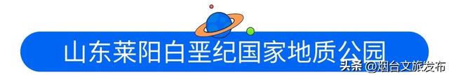 【乐享烟台】“好客山东 见识齐鲁”2025山东省暑期研学旅游推进活动在烟台市成功举办