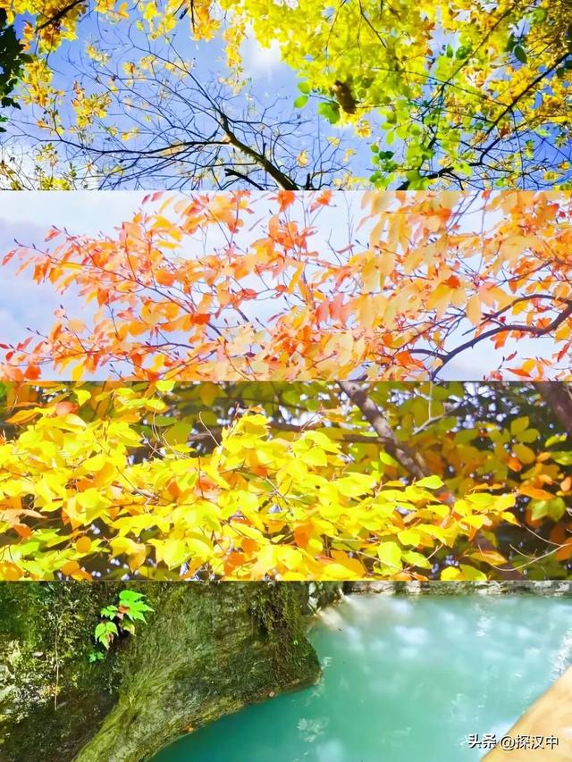 不等了！这个秋天，我就要去草川子~