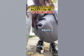 大爷不小心闯入女孩镜头暖心又好笑图片