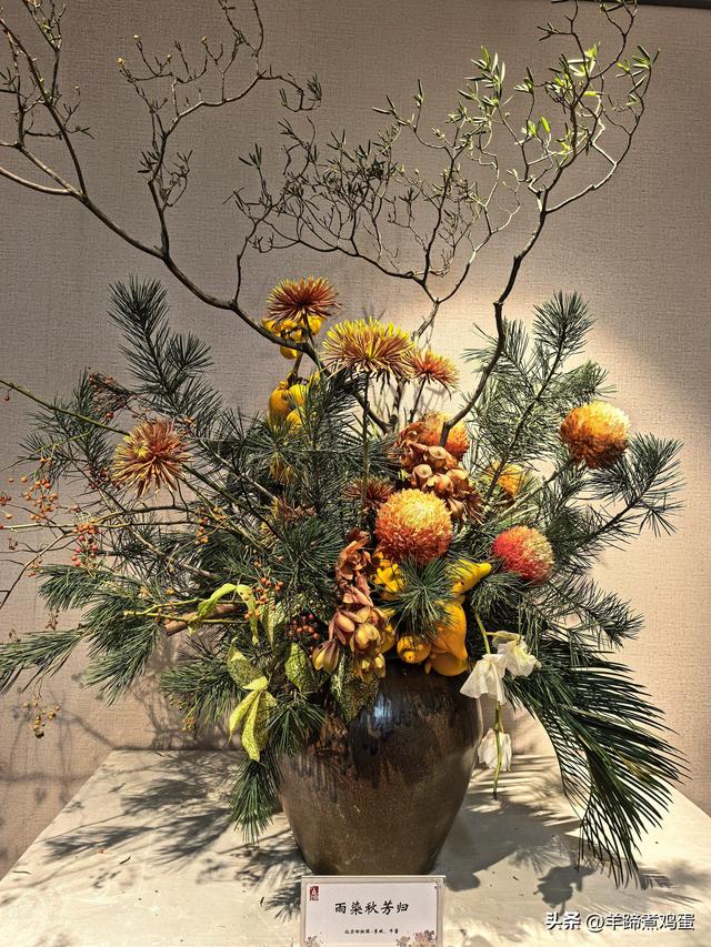 秋风独宠一园菊，晚来香艳出樊篱——北京北海公园2025年菊花展