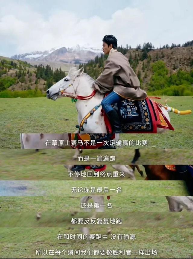 90%人没听过的香巴拉秘境，是最爱猫的咪咪痛城