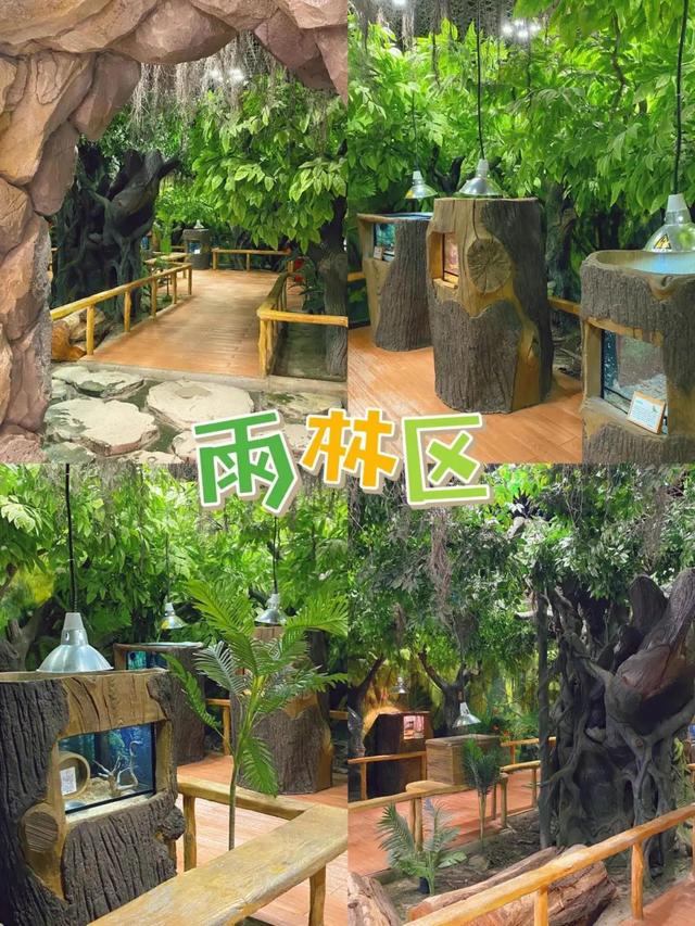 青岛市第一高楼的浪漫，坐拥城市至高视点……