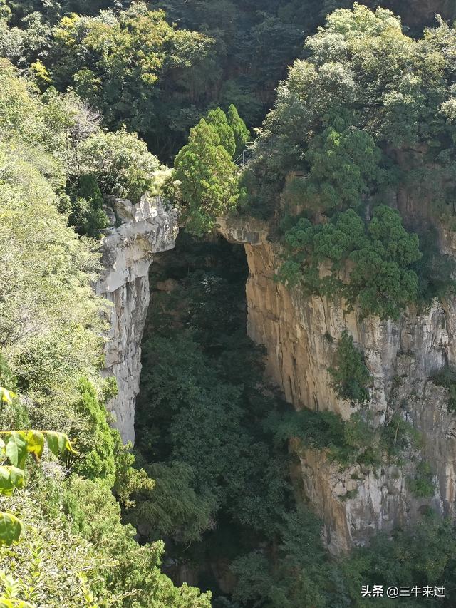 无为在歧路，2025之经行