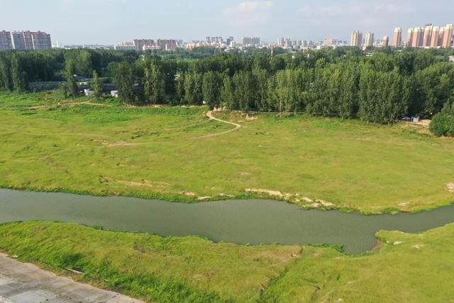 大美泌阳：小城藏锦绣 湿地绘丹青