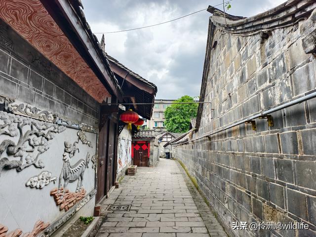 成都古镇（15）郫县唐昌古镇崇宁公园·大椿巷