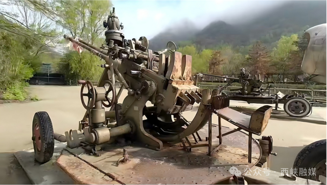 就在明天！2026西峡花朝季即将启幕！老君洞这场春日盛宴邀您共赴！