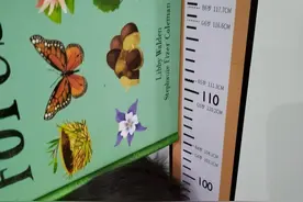 孩子睡前做好这1件小事，生长激素加倍分泌，多长5-10cm图片