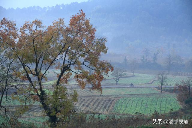 秋色塔川，无梦到徽州