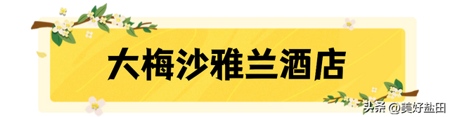 梅沙国庆终极攻略！这些福利正在刷屏→
