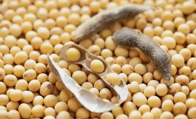 超2800亿大单	，特朗普收到大礼！美高官为华发声：中国人说话算数