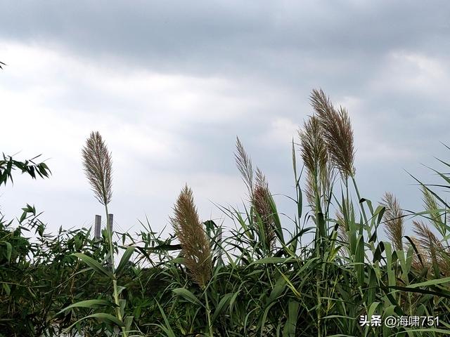 南海金沙岛国家湿地公园