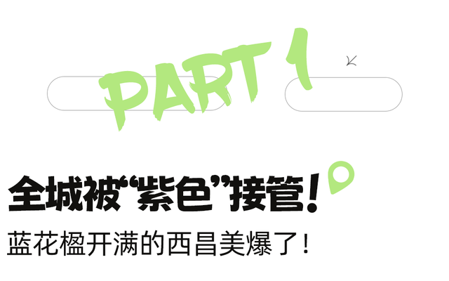 比大理浪漫！比昆明更近！高铁直达阳光小城，2万株蓝花楹美疯！观海登山，美食吃到爽！