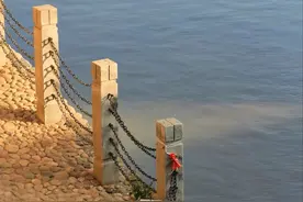 去有风的地方，被悠闲治愈图片