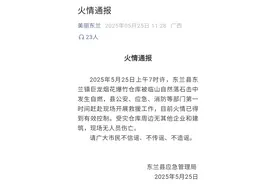 一烟花爆竹仓库突发自燃致烟花四射！当地通报事故原因图片