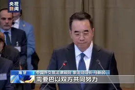 我外交官为巴勒斯坦仗义执言，以色列破防，竟要中方“扪心自问”图片