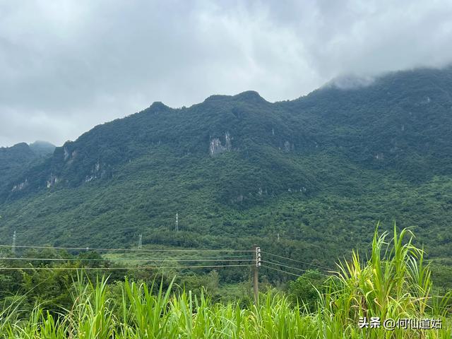 阳山又有一景
