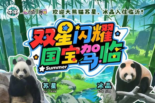 暑假进度条过半，临沂这些遛娃胜地你都打卡了吗？