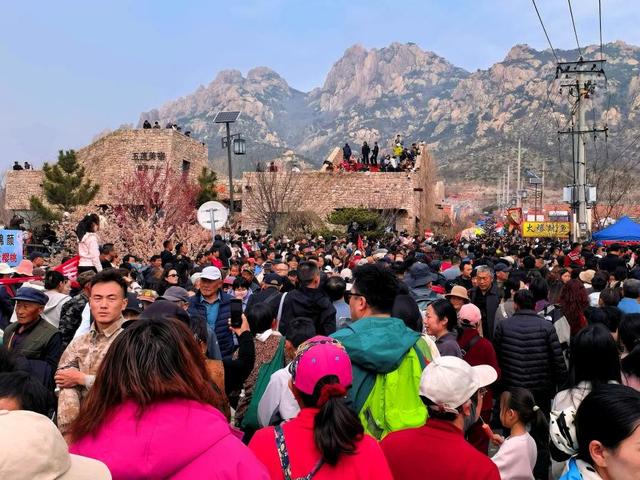 寻找最美春天|“颜值”变“产值” 日照以花为媒撬动“美丽经济”