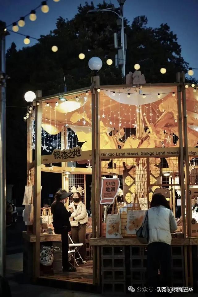 赏银杏、会海鸥，邂逅一场丰容的“昆明式暖冬”