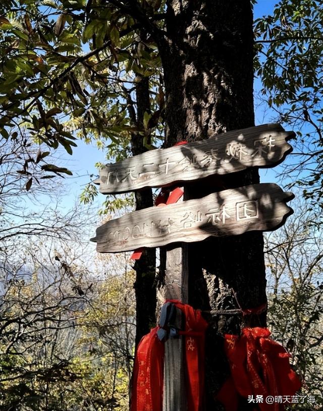 我炸！秦岭团标峪秋日徒步采摘攻略：山野寻味，古寺探幽！