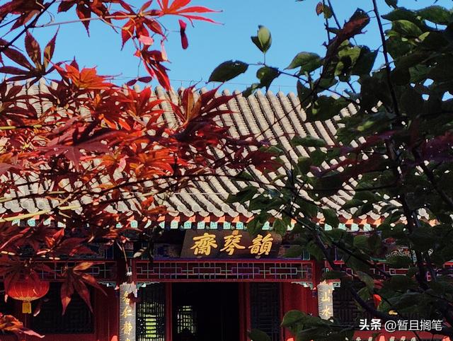 以我4次经历，带你打卡北京香山，北京的朋友请补充