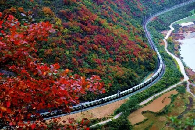 清明小长假哪里玩——徽县嘉陵江峡谷群是首选