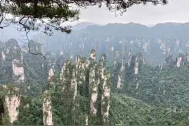 张家界森林公园天门山自助游避坑十注意图片