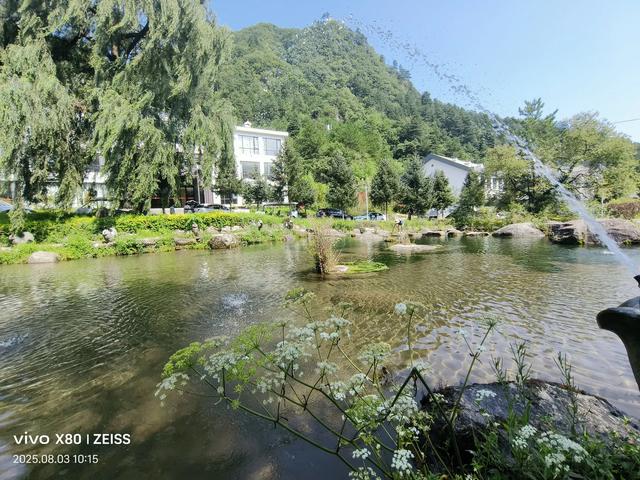 林壑听涛逢旧雨 溪声松语话流年