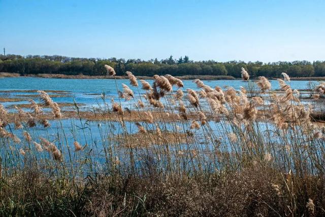 新年第一站,我先冲了!