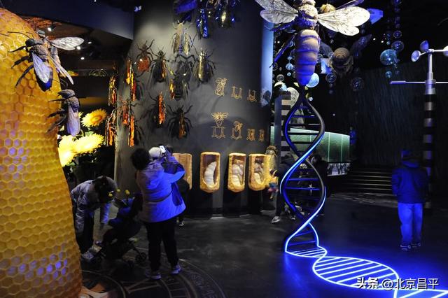 记者探访昌平新晋工业旅游示范点，百年遗产与生态科普焕发文旅新活力