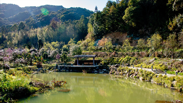 人在广东不知道去哪里玩？这10个小众景点，景色完全不输网红景点