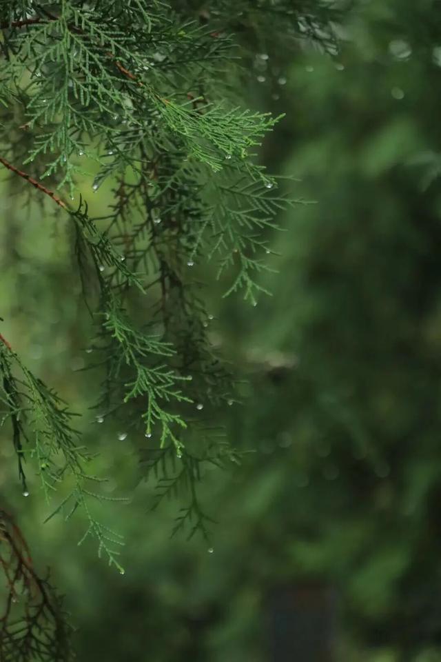 美到词穷！灵山岛秋日慢游攻略来了→