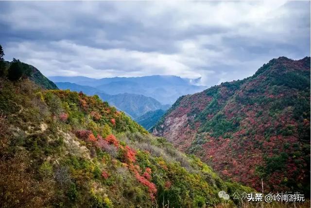 陕西各地最经典的赏秋景点，人少景美还省钱，错过就要再等一年！