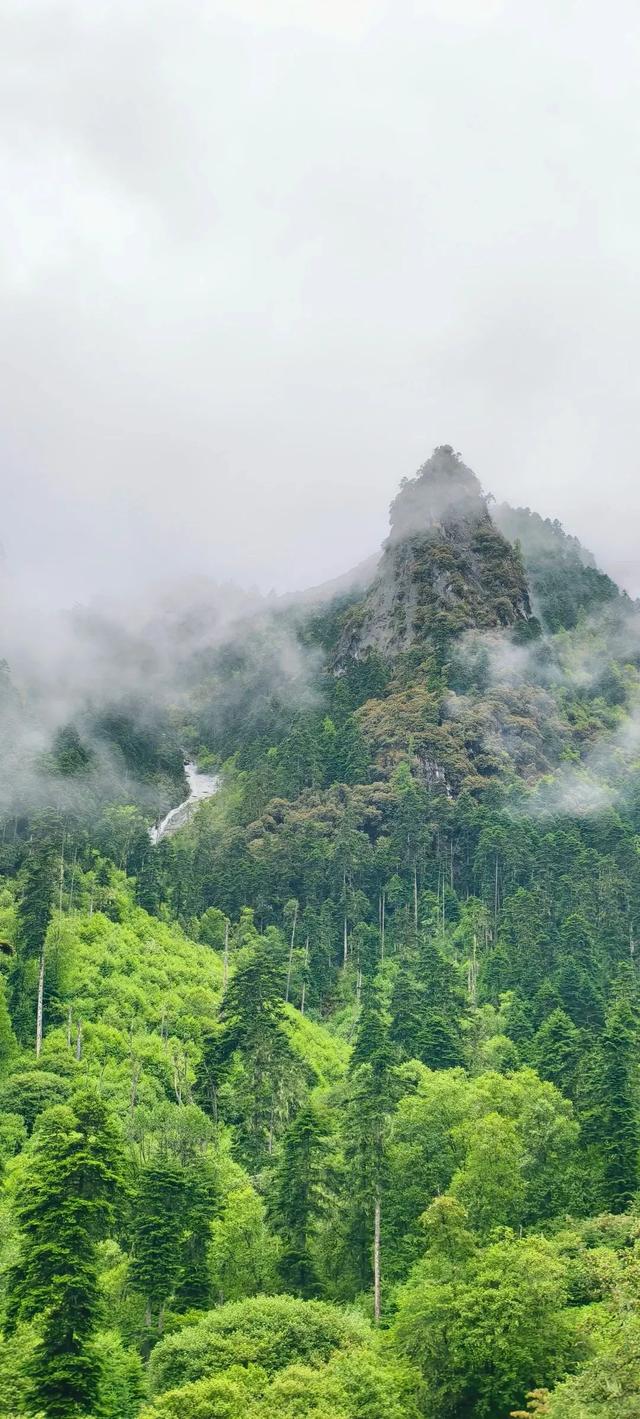 翻越“浪浪山”后，在西藏发现了地图上未标注的……