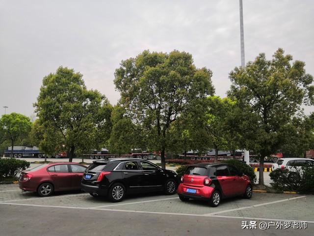 退休自驾游遭遇停车难题？老司机教你几招，省钱省心不添堵！