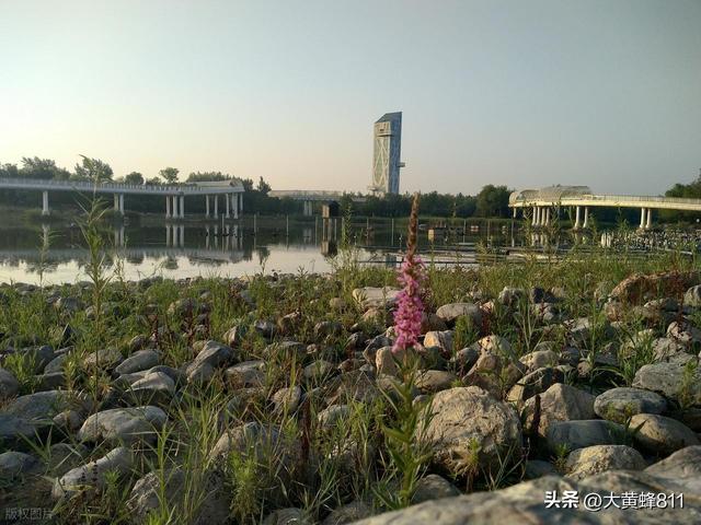 认识大美河南的每个县——第20波：滑县
