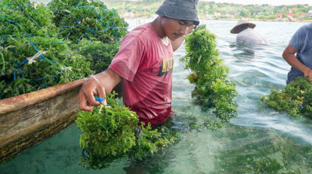 美国稀土技术革命性突破，可用效率达顶尖水平，中国地位遭威胁？