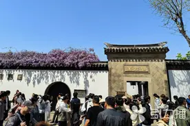 接待游客超过500万人次 “小长假苏州仿佛有一亿人”登上热搜图片