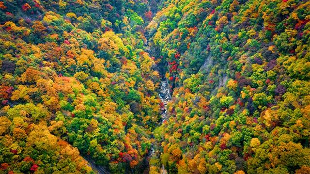 出片率100%！西安爬山赏秋打卡地推荐！速约→