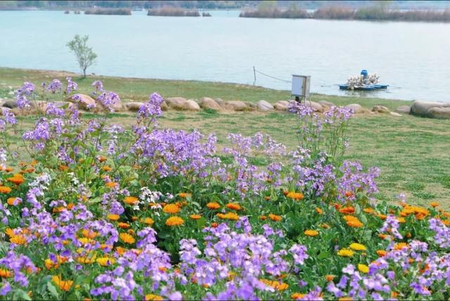 合肥版“赛里木湖”火了！好多人打卡