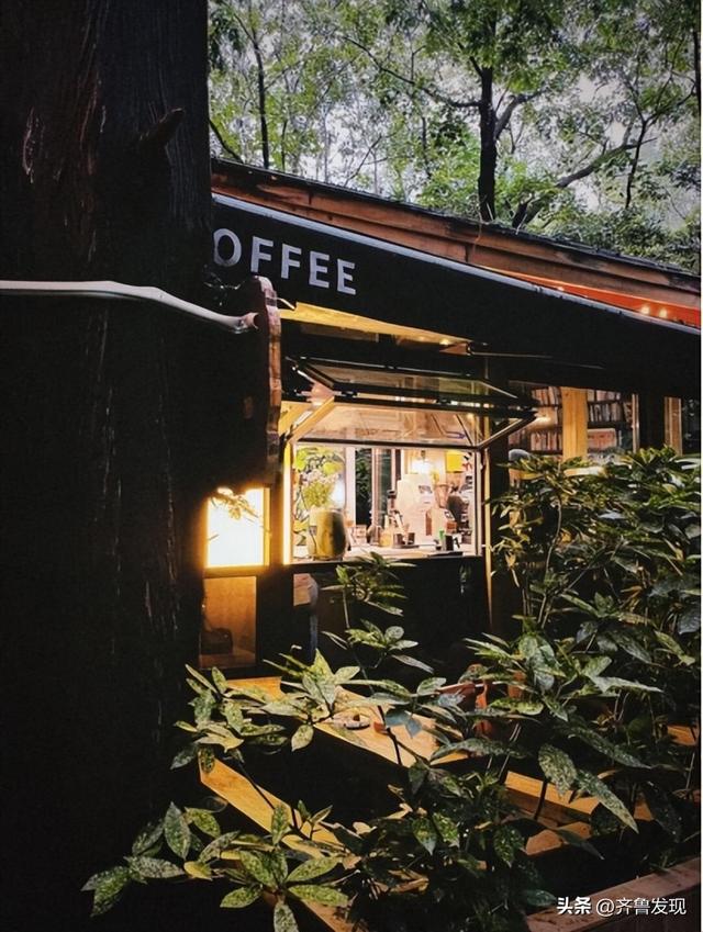 乘着地铁去赏花｜中山公园春日打卡攻略，还有隐藏赏花机位分享