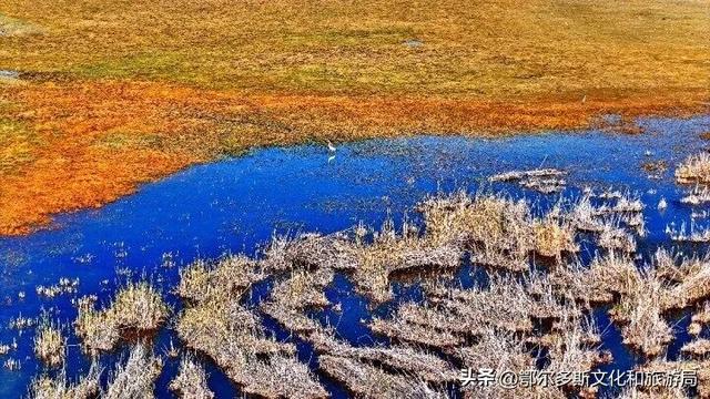 内蒙古杭锦旗：湿地秋景惹人醉