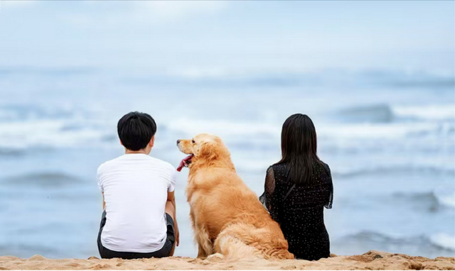 北京独生女：丁克十年	，我后悔了