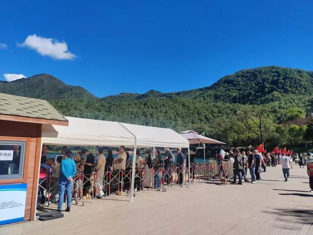 人气十足！假期前两日，陇南好热闹！🥳