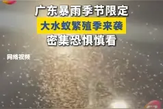 密密麻麻！“比蚊子还讨厌”，有人因此拆家......图片