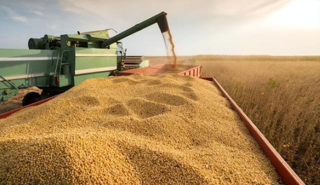 美启动111亿对台军售，不到24小时收到报告：中方取消13万吨订单