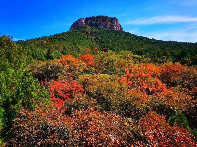 抱犊崮入选山东金秋醉美红叶观赏地